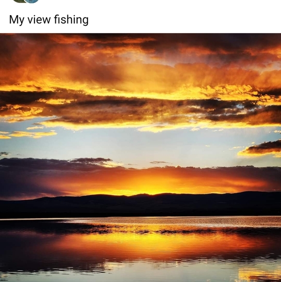 Meet your Posher, Jacquelyne - Picture 1 of 1